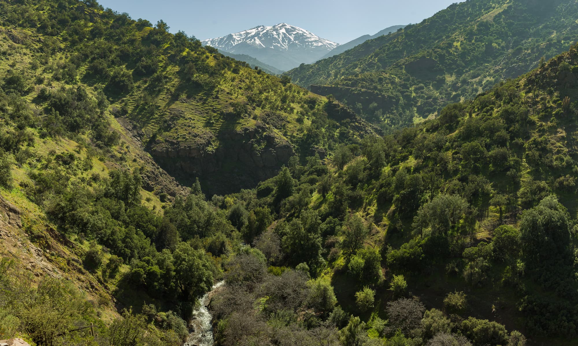 Río entre árboles — Precordillera de Santiago
